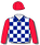 ROYAL BLUE AND WHITE CHECKS, RED SLEEVES AND CAP