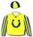 Yellow, royal blue horseshoe (b&f), yellow & royal blue striped sleeves & quartered cap