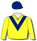 YELLOW, DARK BLUE VEE AND CAP