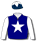 NAVY BLUE, WHITE STAR AND SLEEVES, NAVY CAP, WHITE STAR