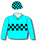 AQUA, BLACK CHECKED BAND AND ARMBANDS, CHECKED CAP
