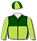LIGHT GREEN, BLACK SEAMS, DARK GREEN YOKE AND SLEEVES, QUARTERED CAP