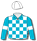Turquoise & white chequers, turquoise sleeves, white armbands & cap