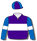 Purple, white band, royal blue sleeves, white arm bands, purple & royal blue quartered cap