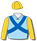 LIGHT BLUE, ROYAL BLUE CROSSED SASHES, GOLD SLEEVES AND CAP
