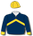 Navy blue, gold chevron & cuffs & cap